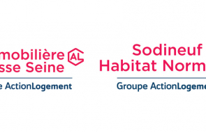 logos IBS et Sodineuf