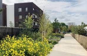 La promenade publique du parc du Glacis à Saint Denis est fleurie et arborées. Elle longe les serres de la ferme urbaine et les batiments du nouveau quartier.